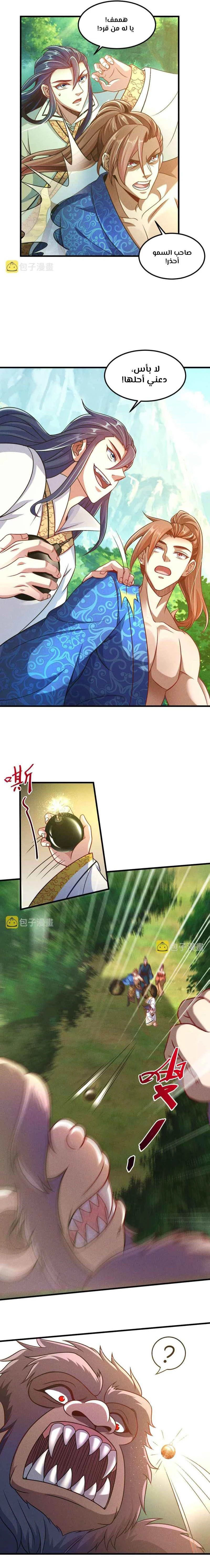 Chapter Image 4